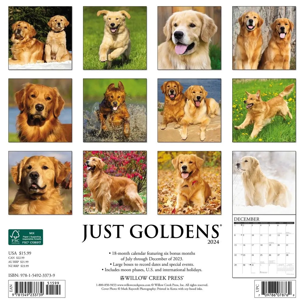 Just Goldens 2025 Wall Calendar