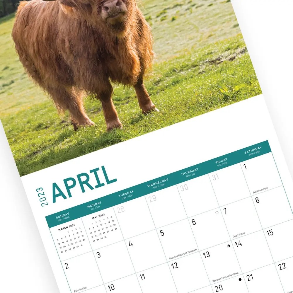 HighlandCows2023WallCalendar