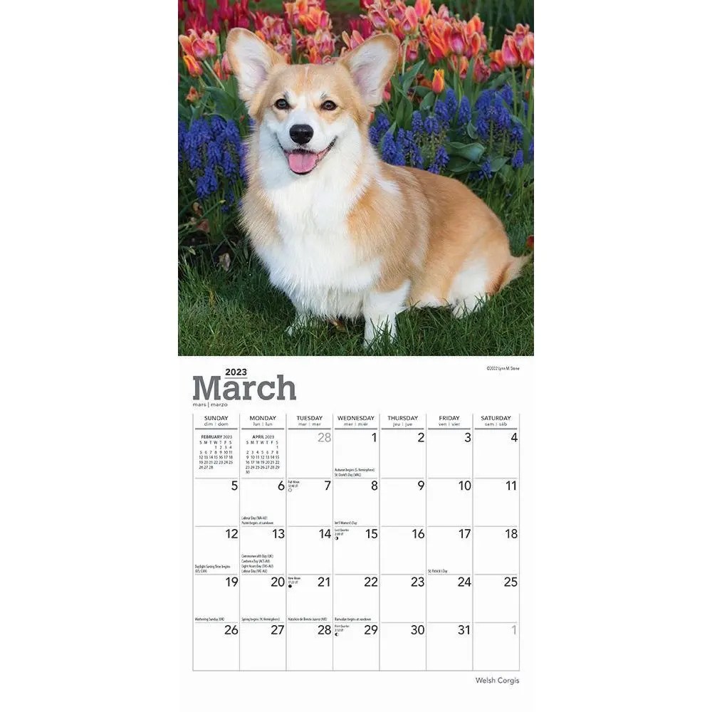 7x7 wall calendar 2023 Welsh 2023 Mini Wall Calendar 7x7