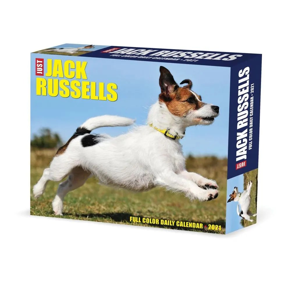 Russell Independent Calendar Jack Russells Desk Calendar