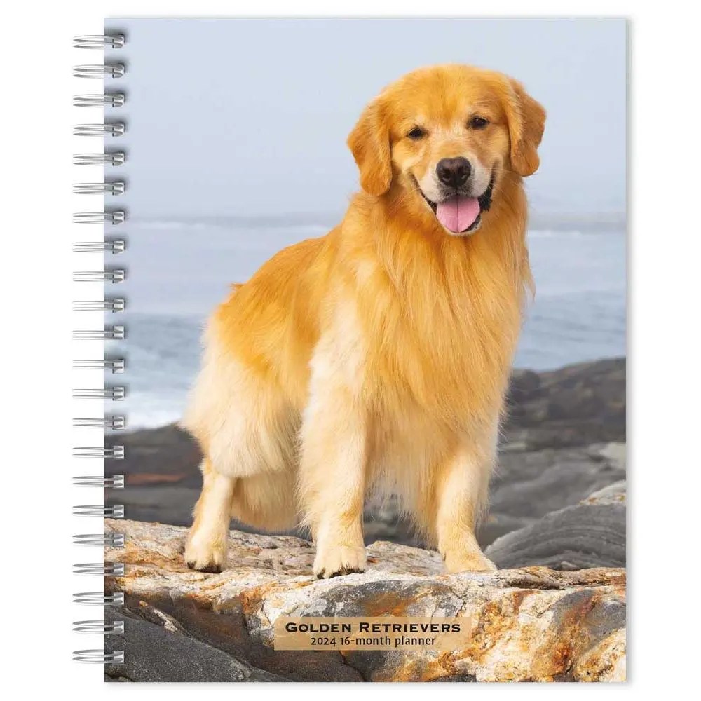 Golden Retrievers 2024 Planner