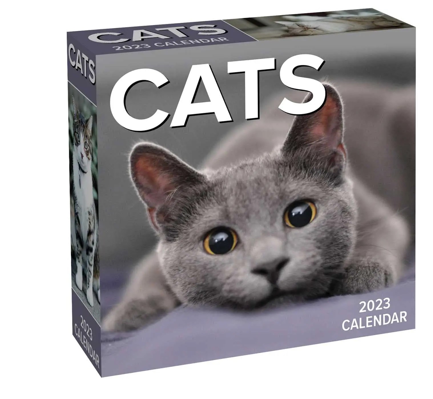 Cats 2023 Desk Calendar