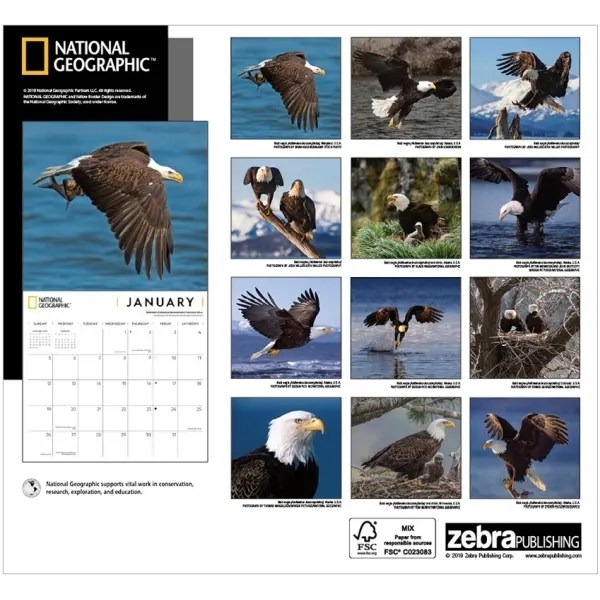Eagles National Geographic Wall Calendar