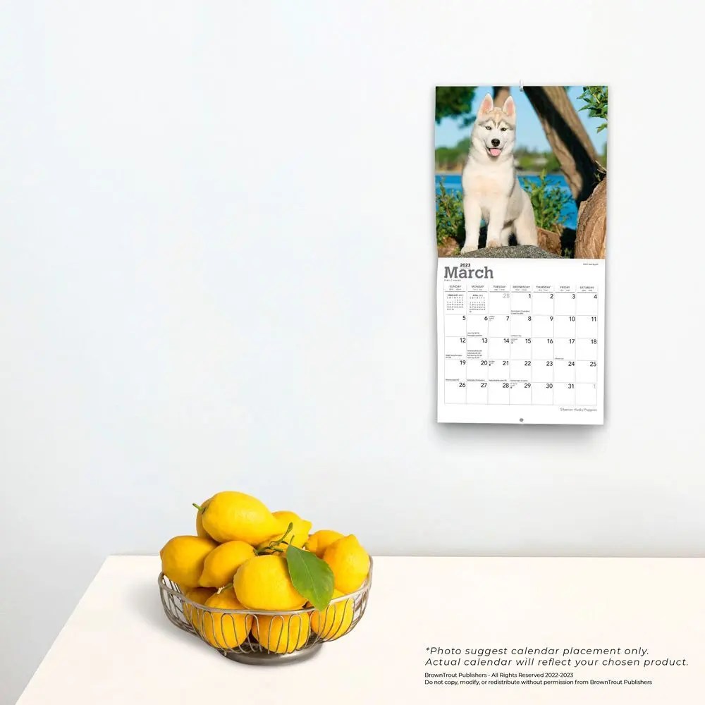 Siberian Husky Puppies 2023 Mini Wall Calendar 7x7