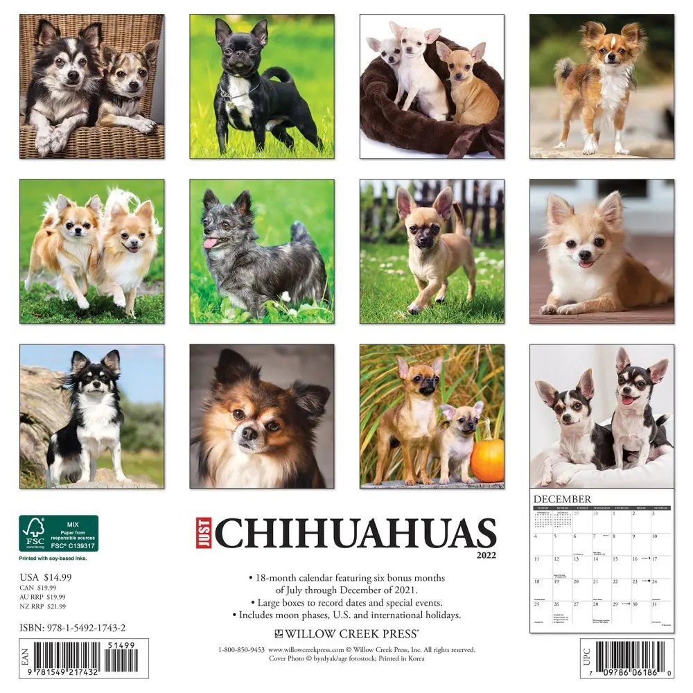 Chihuahuas Schedule 2022 State Schedule 2022