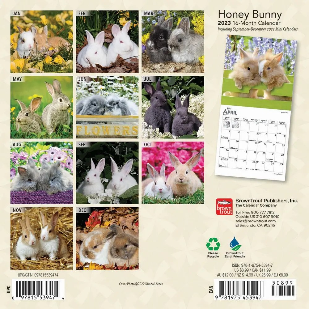 Honey Bunny 2023 Mini Wall Calendar 7x7