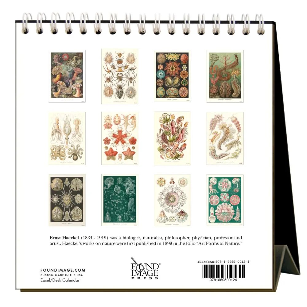 Art Forms of Nature 2023 Easel Calendar
