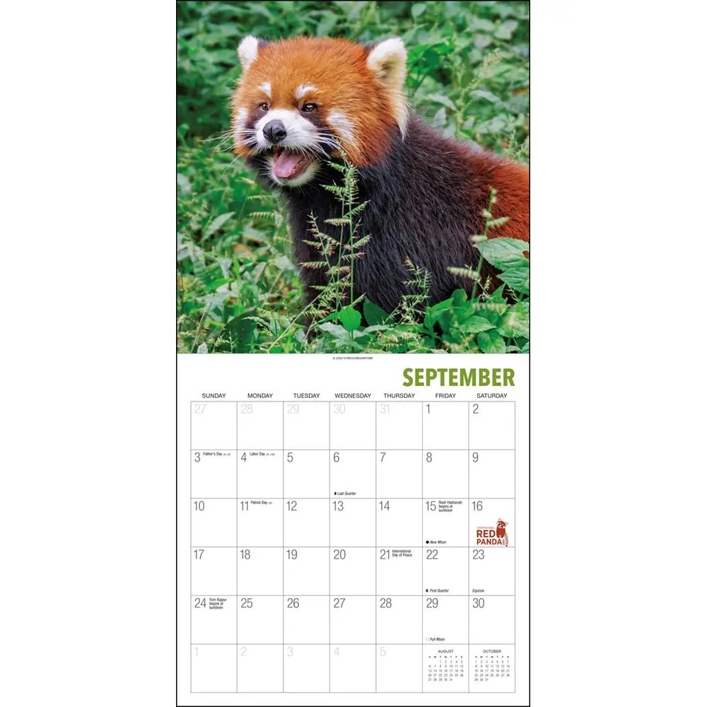 Red Pandas 2023 Wall Calendar