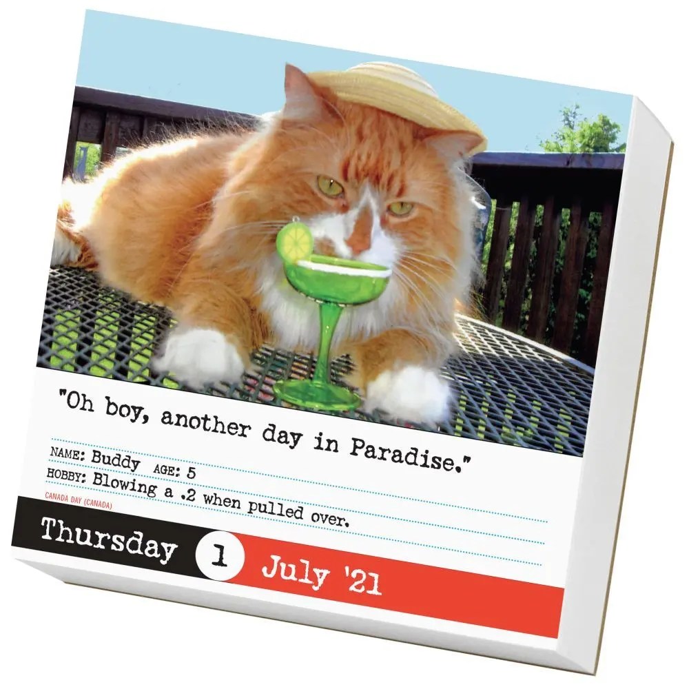 Bad Cat Desk Calendar