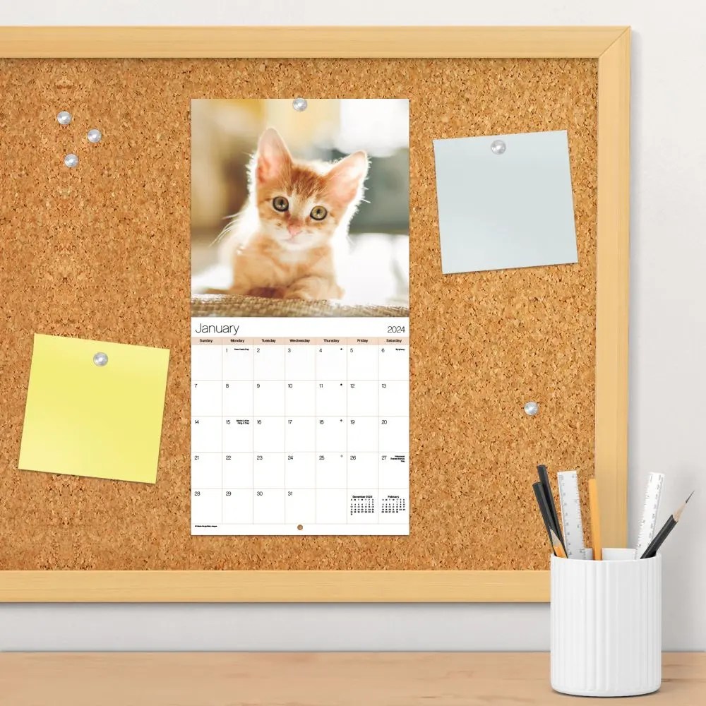 Kittens 2024 Mini Wall Calendar