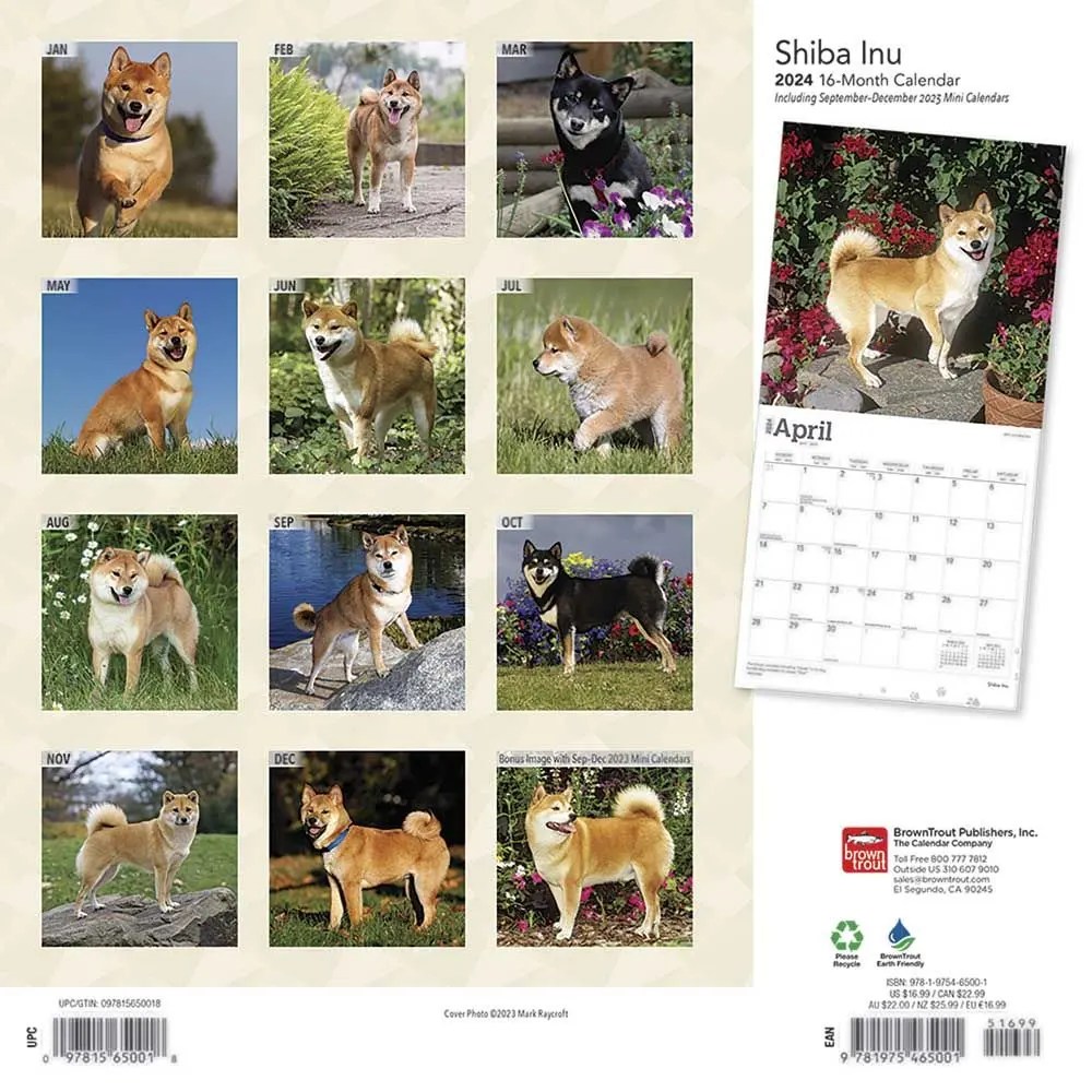 Shiba Inu 2024 Calendar Shiba Inu 2024 Wall Calendar