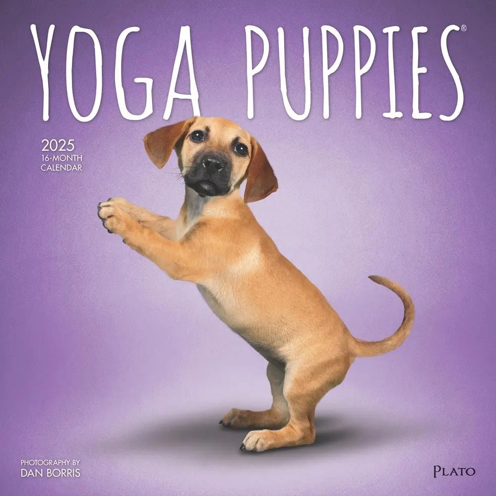 Yoga Puppies Plato 2025 Wall Calendar