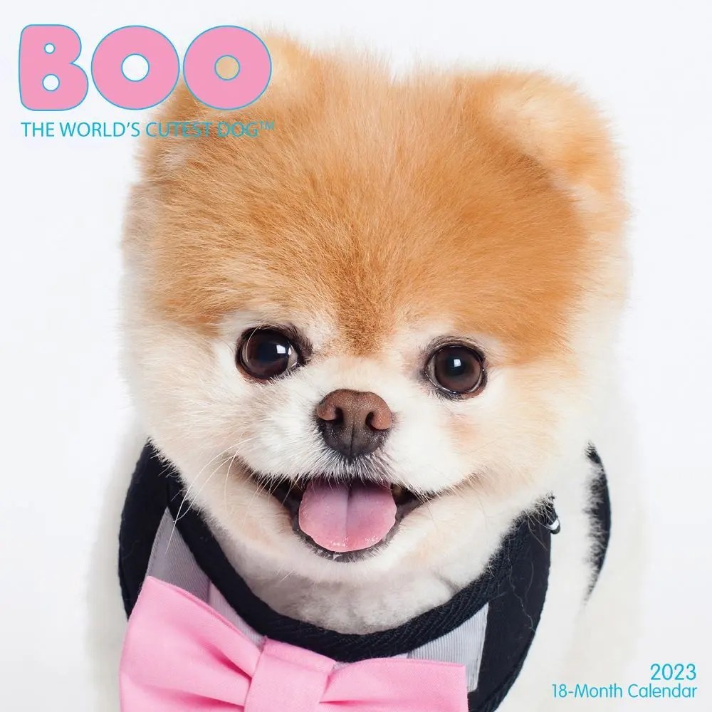 Boo 2023 Wall Calendar
