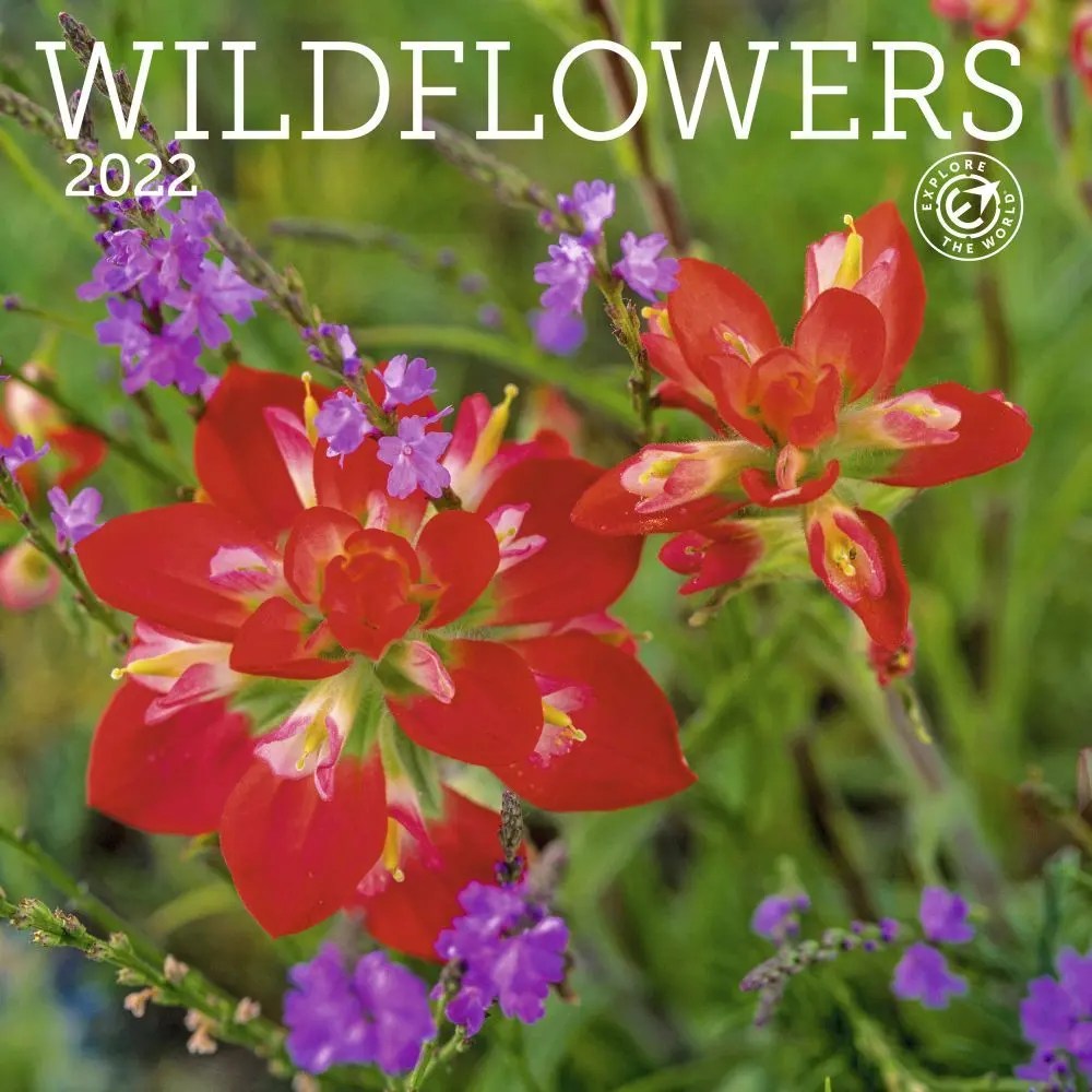 Free Wv Wildflower Calendar 2024 Home and Garden