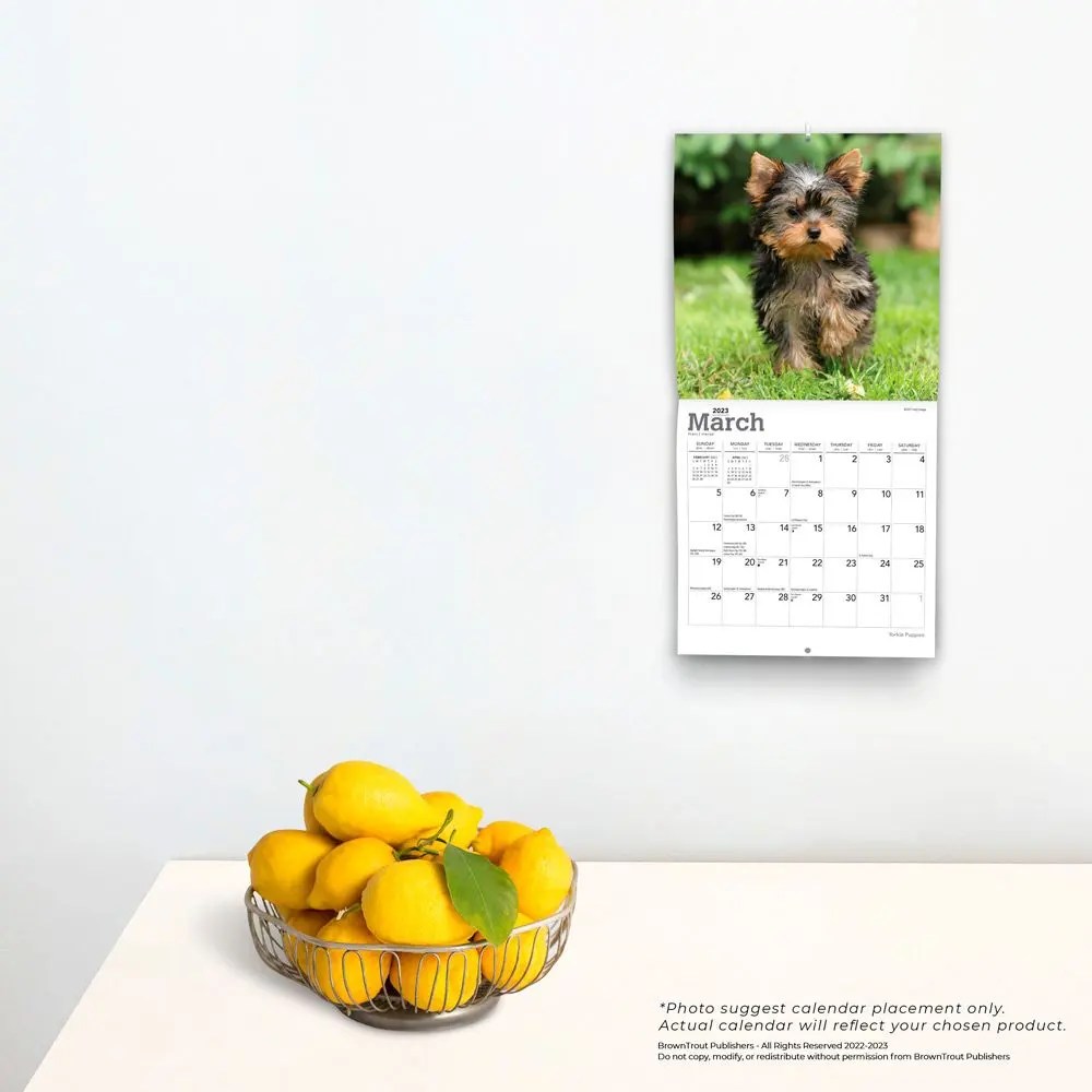 Yorkshire Terrier Puppies 2023 Mini Wall Calendar