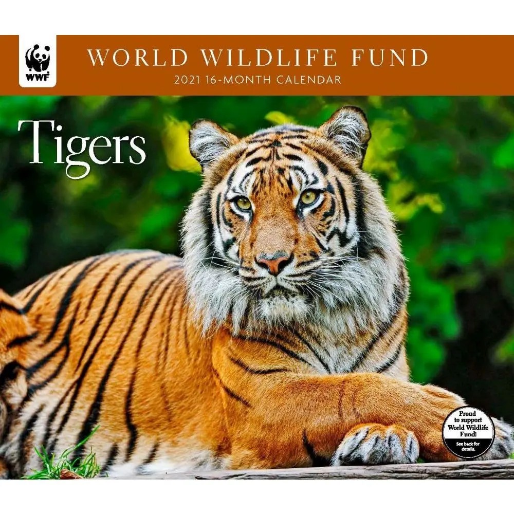 Wwf Calendar 2024 Uk Tigers WWF Wall Calendar