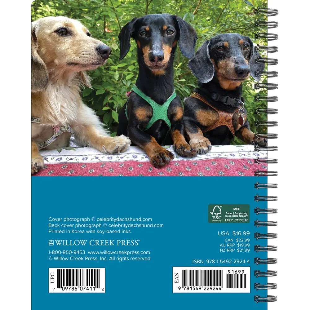 Crusoe the Celebrity Dachshund 2023 Engagement Calendar