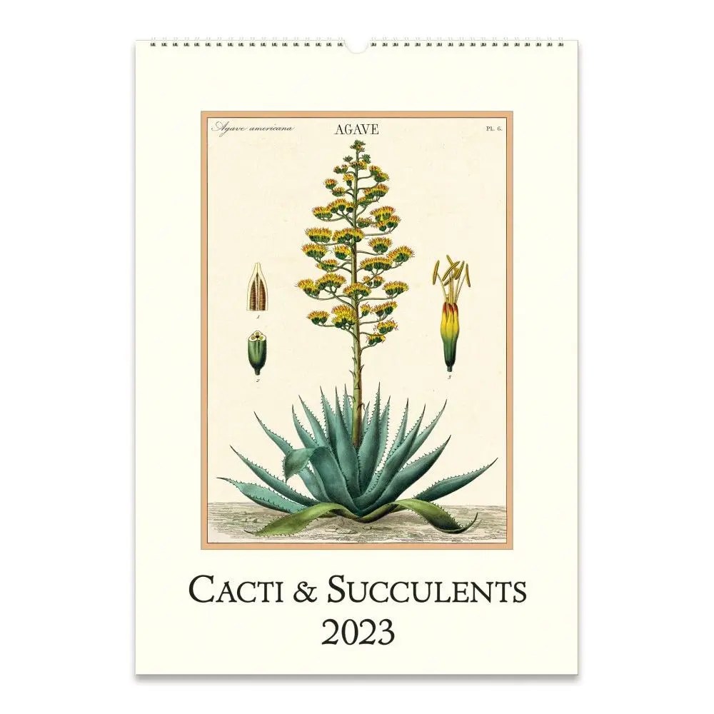 succulent calendar 2023 Succulent 2023 Poster Wall Calendar