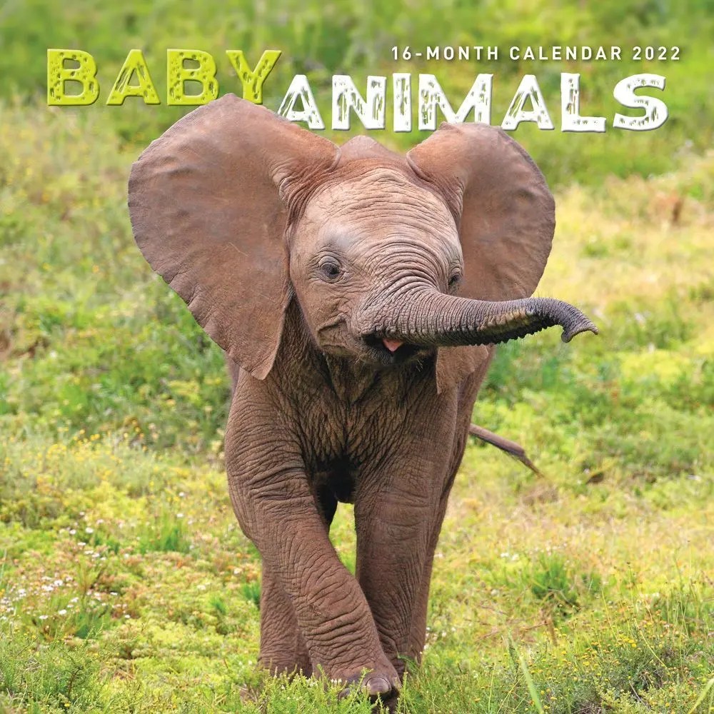 Baby Animals 2022 Wall Calendar