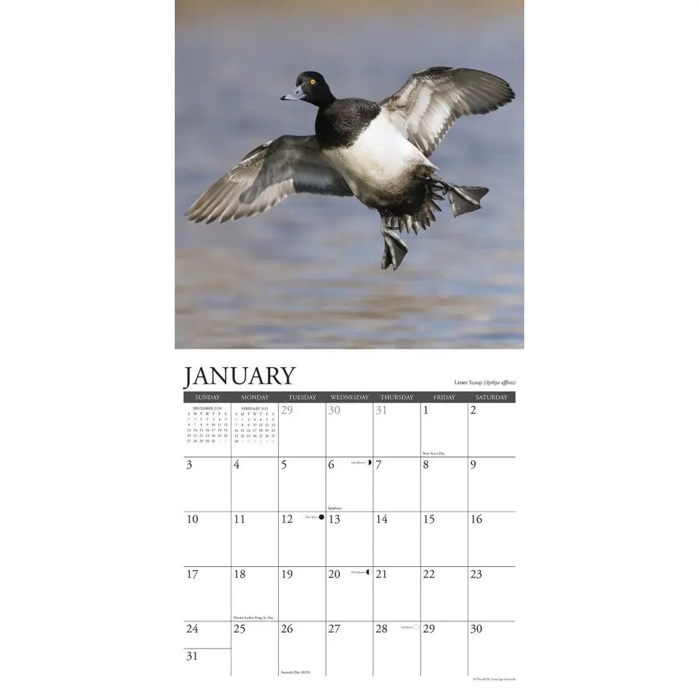 Waterfowl Wall Calendar