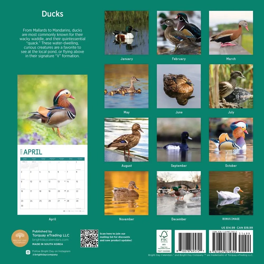 Ducks2023WallCalendar