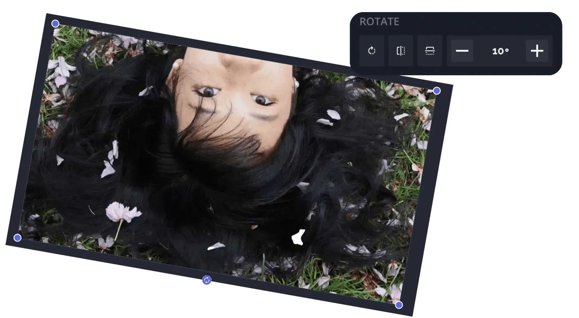 Rotate Video Online — Video Rotation Tool — Kapwing