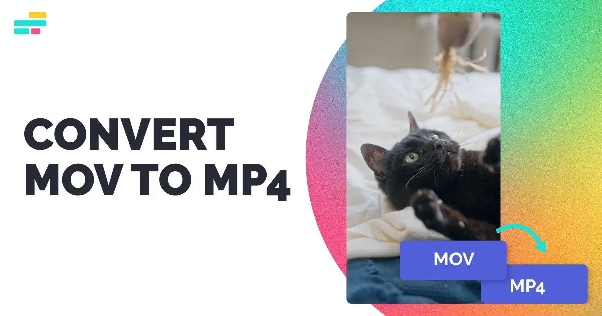 MOV to MP4 Converter — Convert MOV to MP4 — Kapwing