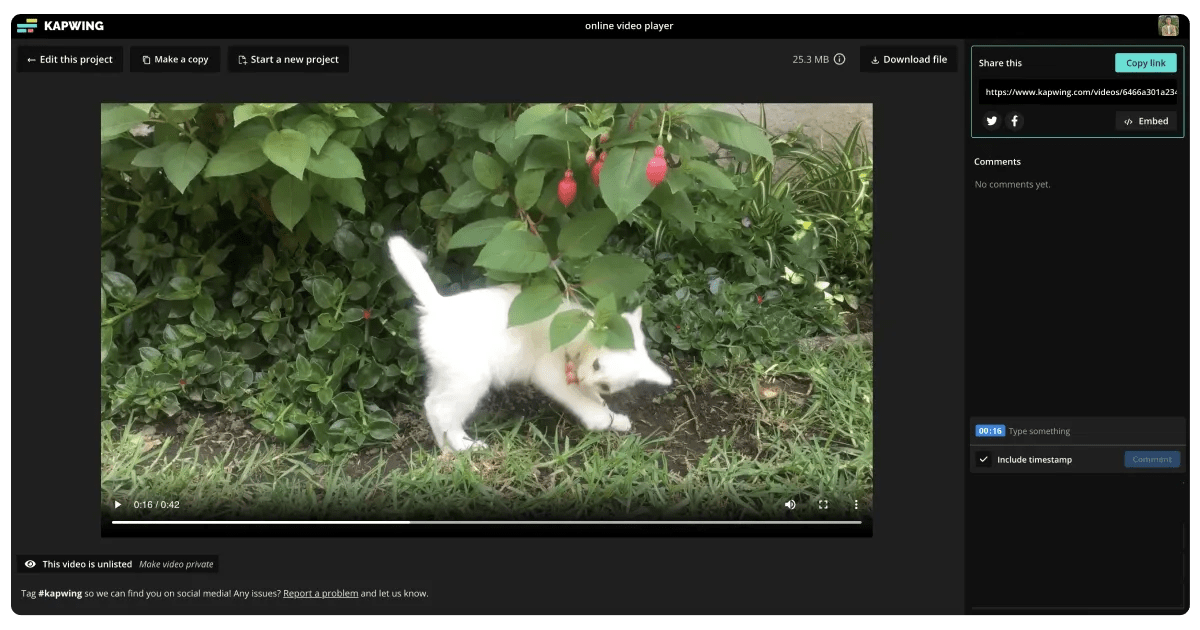 Online Video Player — Play Videos in Browser