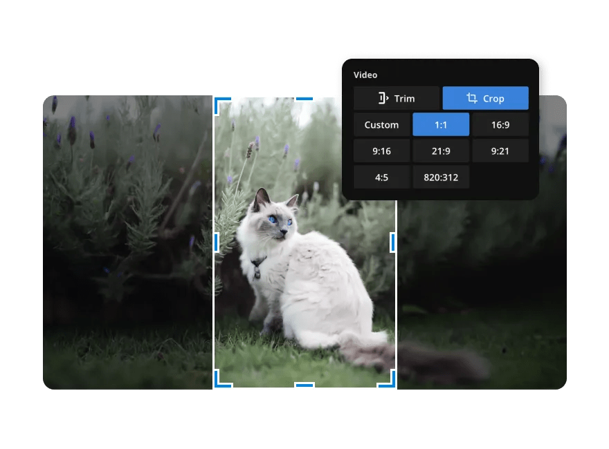 Crop Videos Online Free Video Cropper Tool