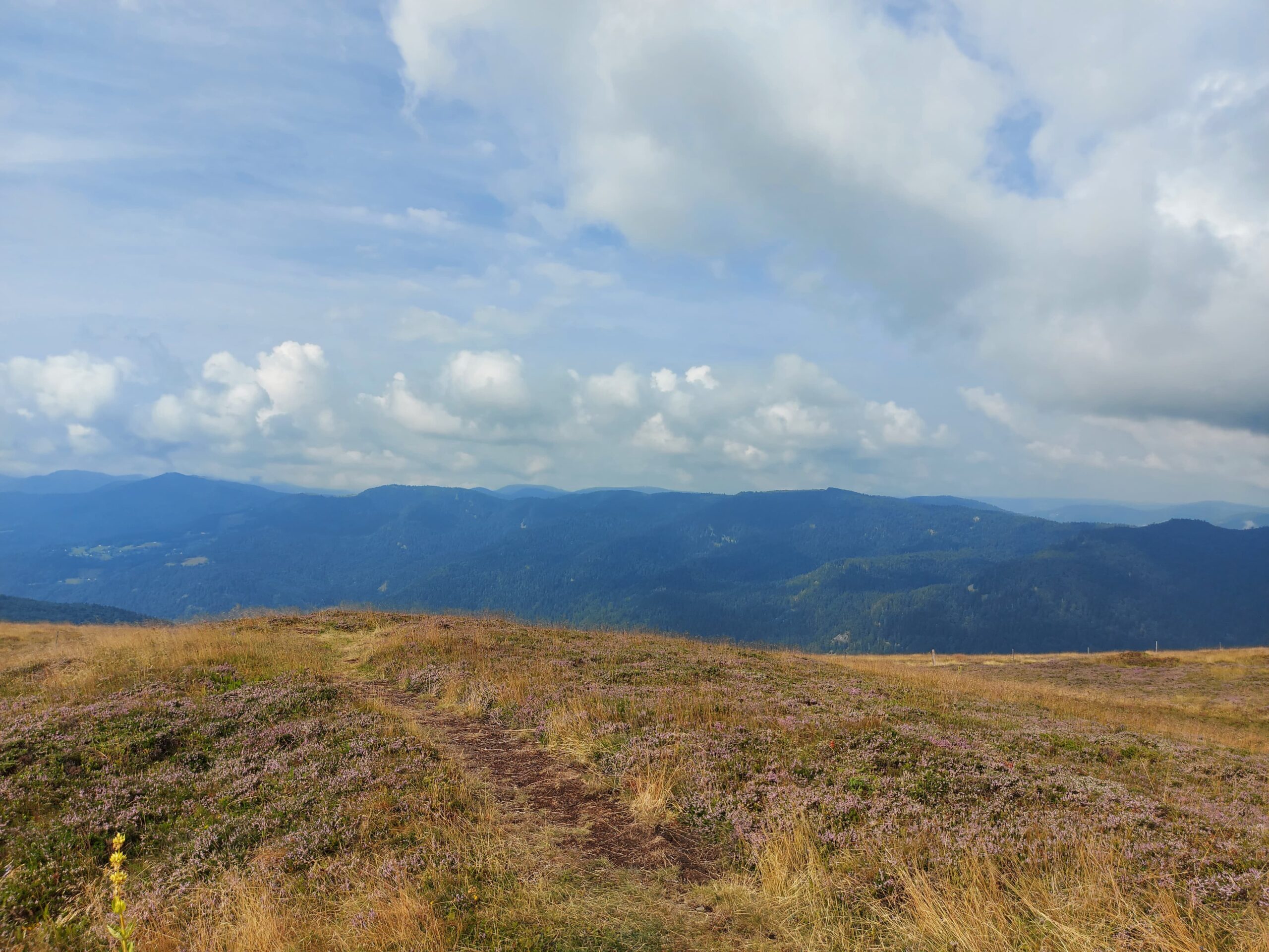 Marathon du Grand ballon Archives uTrail
