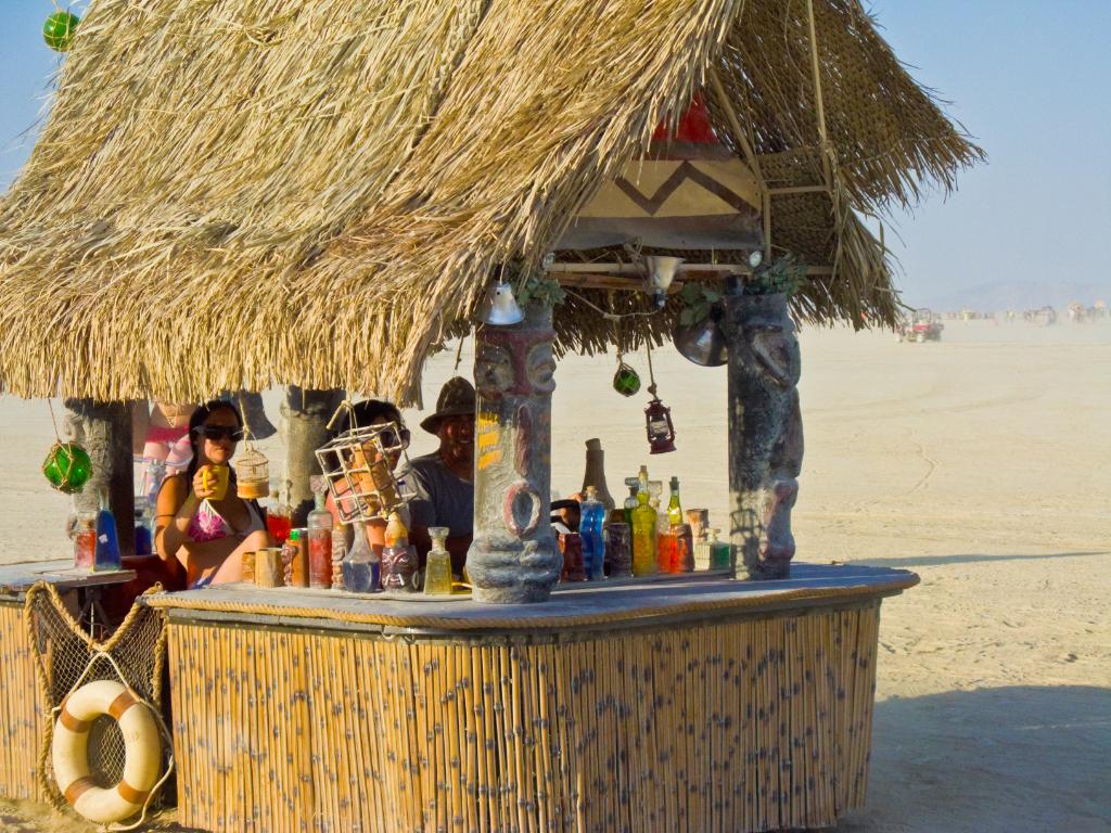 Tiki Bar Backyard Ideas Garden Guides