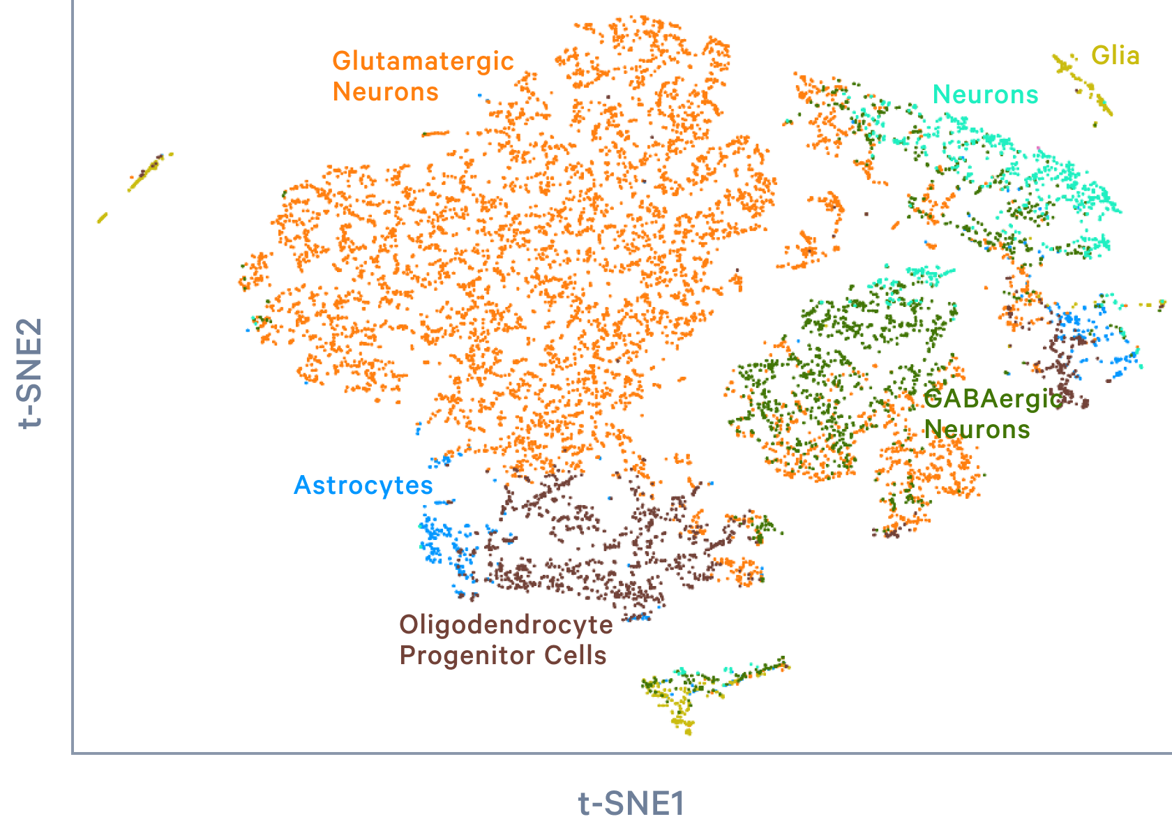 Single Cell Gene Expression Official 10x Genomics Support