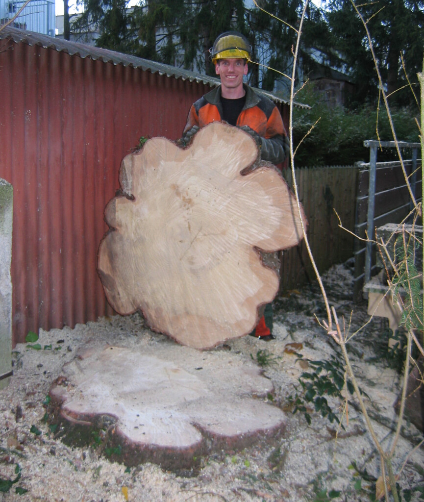 Garten Und Landschaftsbau Dachau 85221 Yellowmap