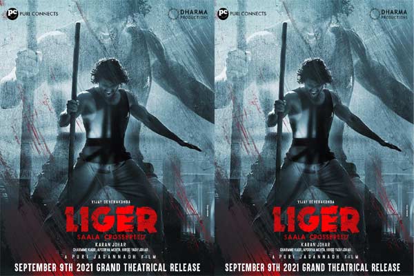 Liger's preclimax to be super special?