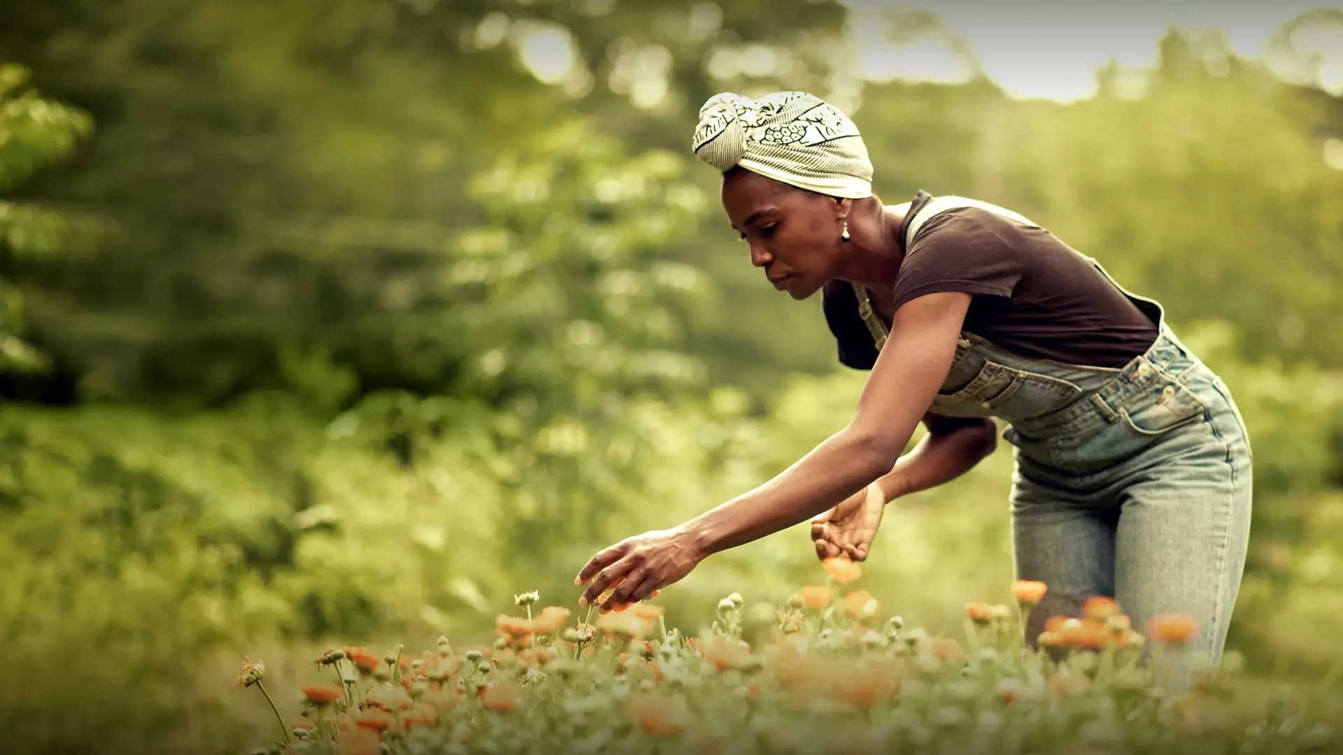 دانلود مستند Homegrown 2021