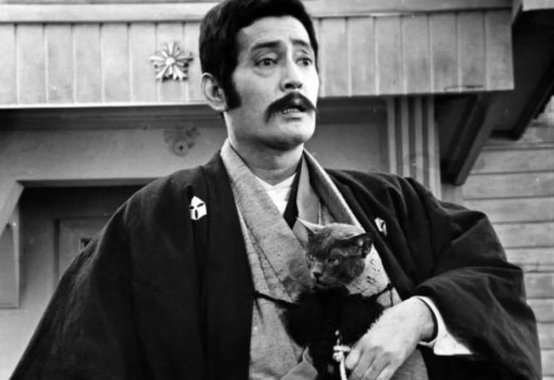 دانلود فیلم Wagahai wa neko de aru 1975 (من یک گربه هستم)