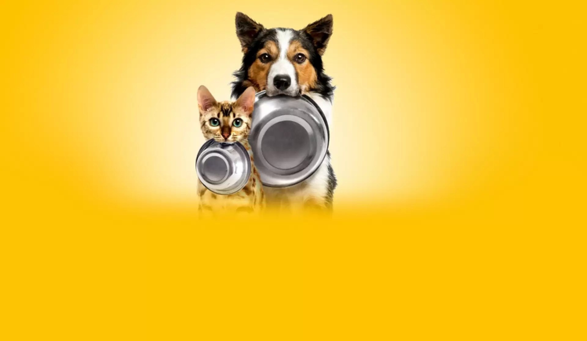 دانلود مستند Pet Fooled 2016