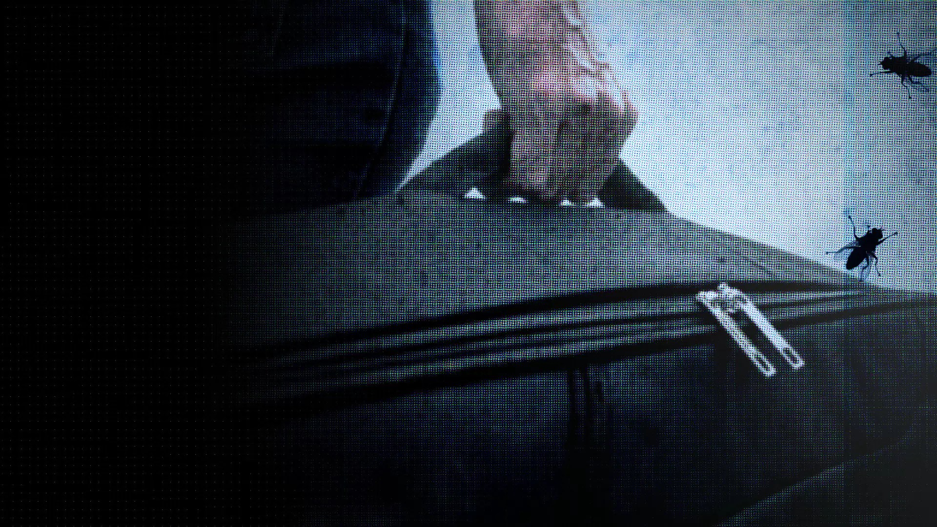 دانلود مستند The Suitcase Murders 2024