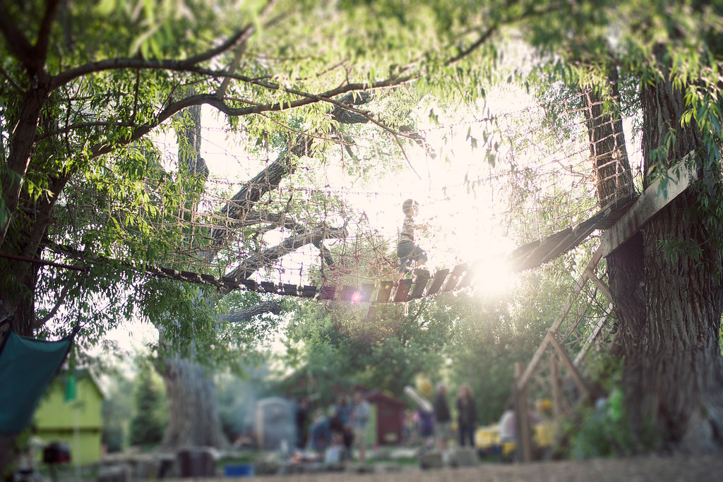 Family Road Trip Explore Longmont's Sunflower Farm 5280