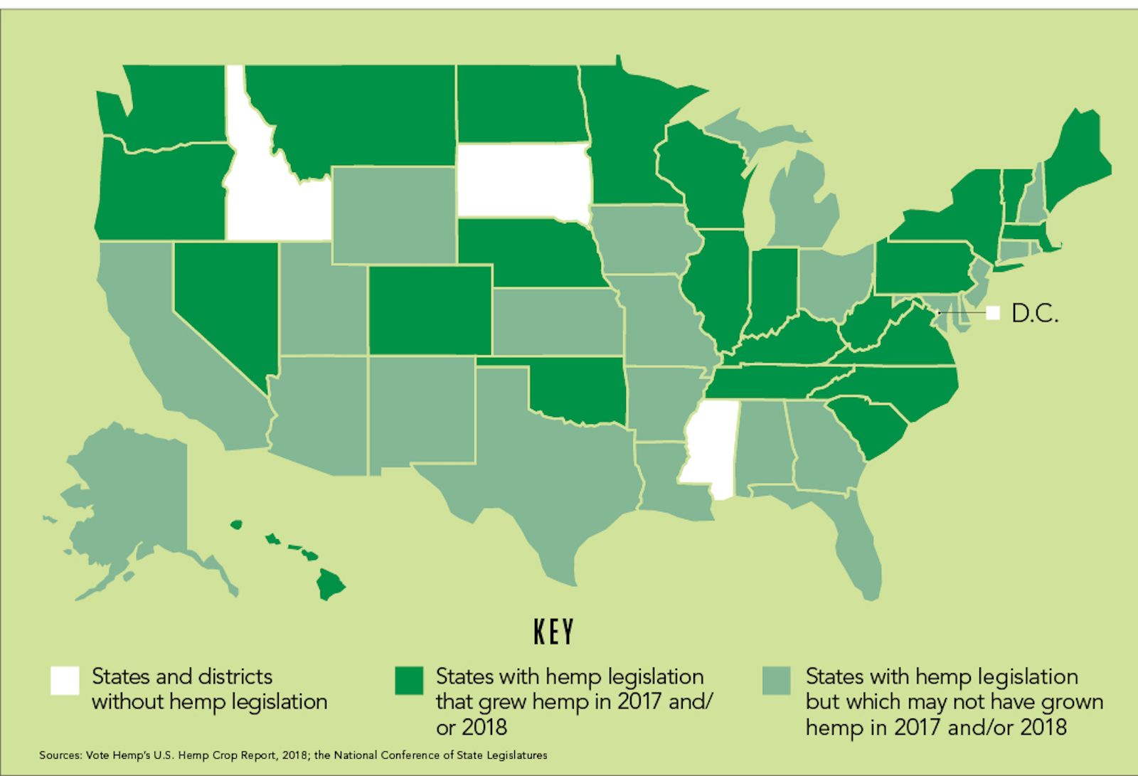 Everything Coloradans Never Knew They Needed To Understand About Hemp