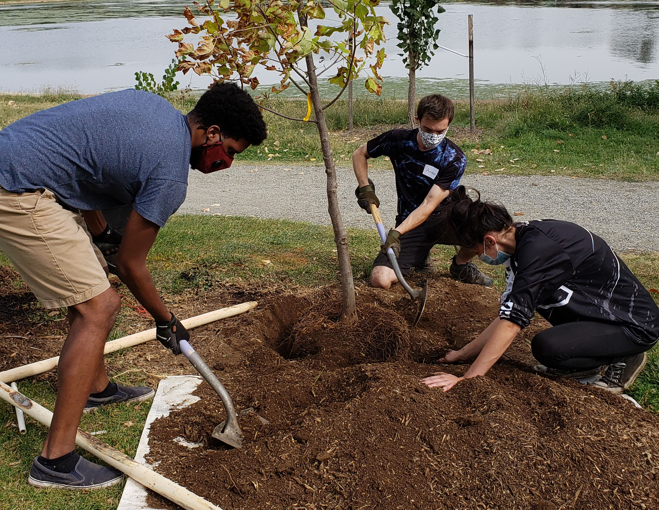 The Park People Is Providing LowCost Trees to Denver Residents