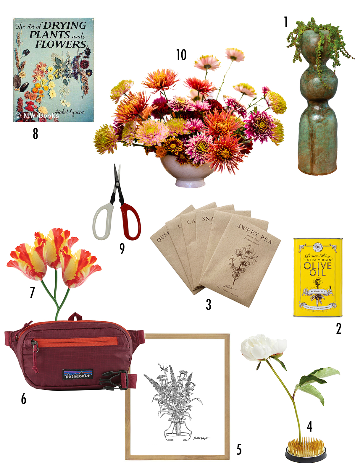 10 MustHaves for a Lively, PlantFilled Home 5280