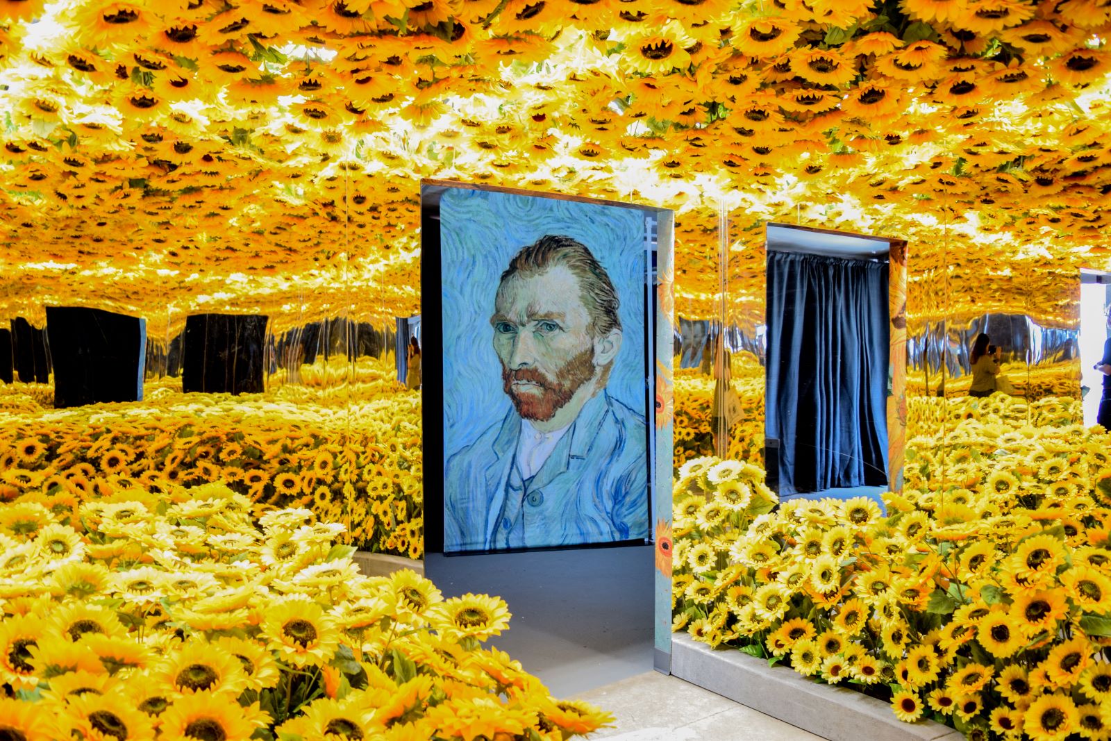 Immersive Van Gogh Exhibits Are About To Take Denver by Storm
