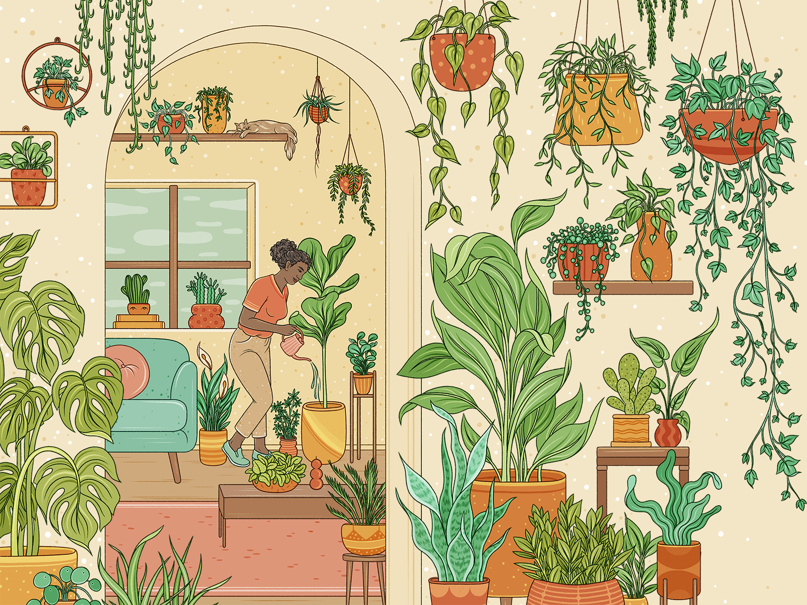 Everything You Need To Know About Keeping Houseplants Alive In Colorado