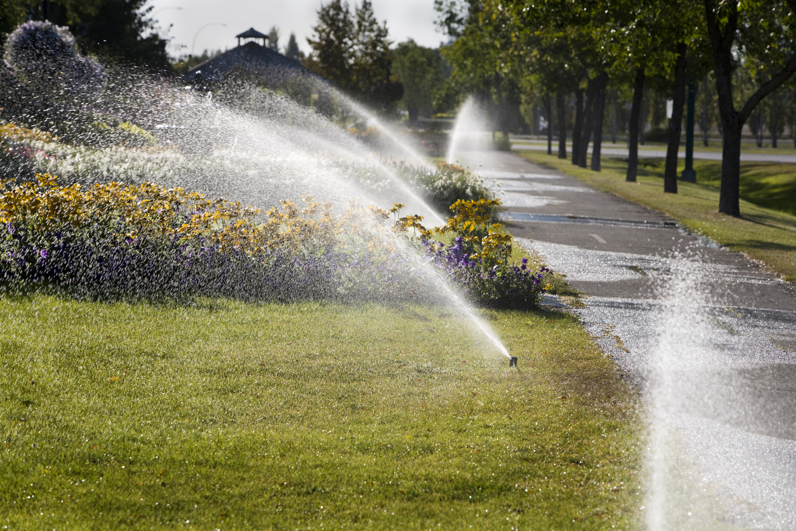 Denver’s Urban Waterways Are Flowing With Tap Water From Sprinklers