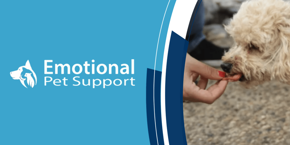 Best Emotional Support Animal Letter Sites 2022 5280