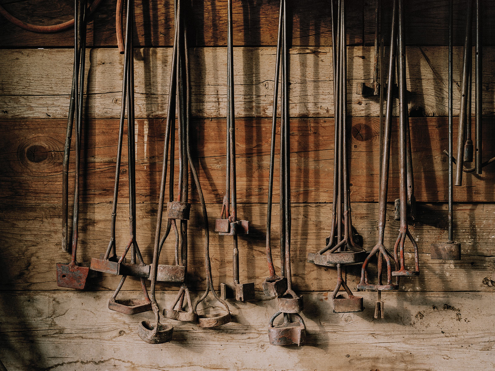 Decoding the Secret Language of Colorado Cattle Brands 5280