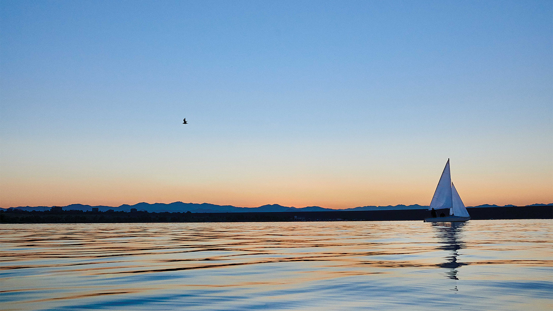 A Beginner's Guide to Sailing in Colorado 5280