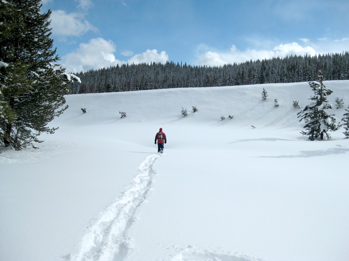 Outdoors Snowshoe Rabbit Ears Pass 5280