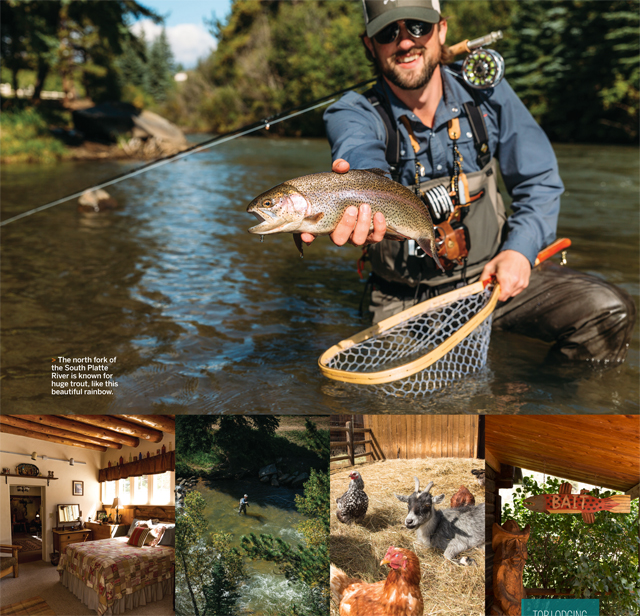 The Beginner's Guide To FlyFishing In Colorado 5280